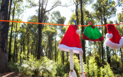 Celebrate Christmas in July at the Lounge at Amaroo!