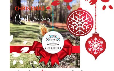 Take the stress out of gift giving this Christmas